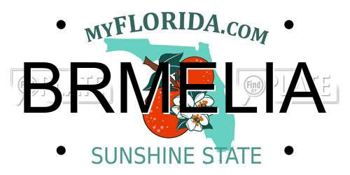 BRMELIA Florida License Plate