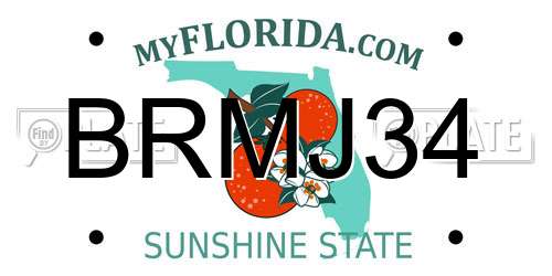 BRMJ34 Florida License Plate
