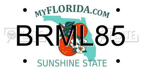 BRML85 Florida License Plate