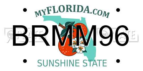 BRMM96 Florida License Plate