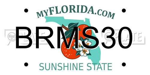 BRMS30 Florida License Plate