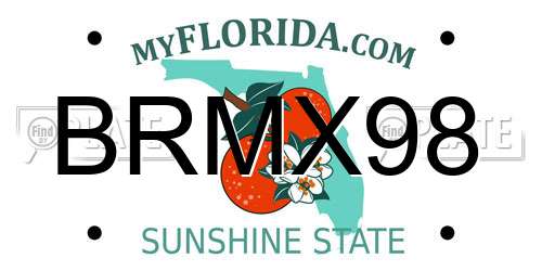 BRMX98 Florida License Plate