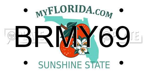 BRMY69 Florida License Plate