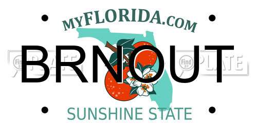 BRNOUT Florida License Plate