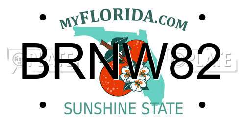 BRNW82 Florida License Plate