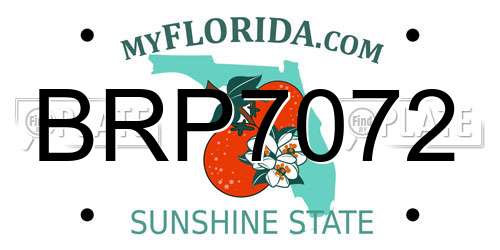 BRP7072 Florida License Plate