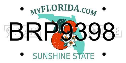 BRP9398 Florida License Plate