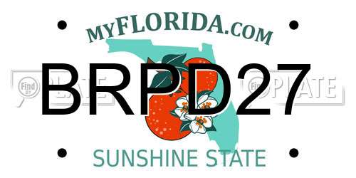 BRPD27 Florida License Plate