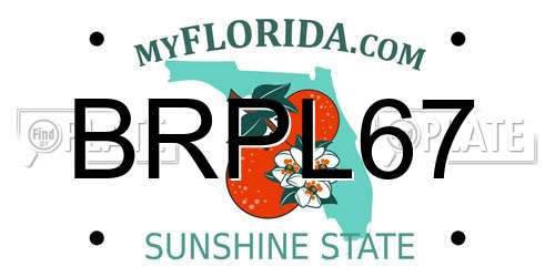 BRPL67 Florida License Plate