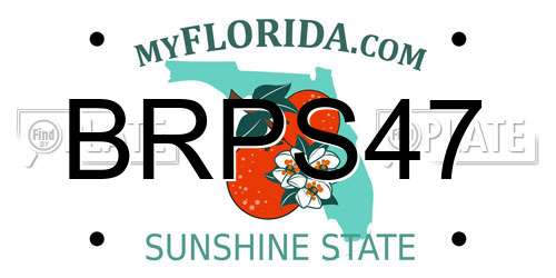 BRPS47 Florida License Plate