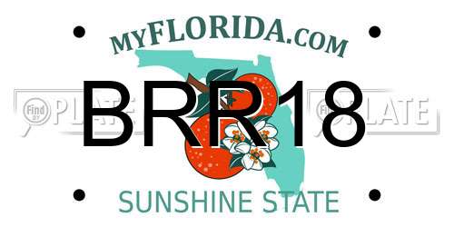 BRR18 Florida License Plate