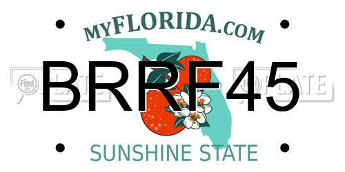 BRRF45 Florida License Plate