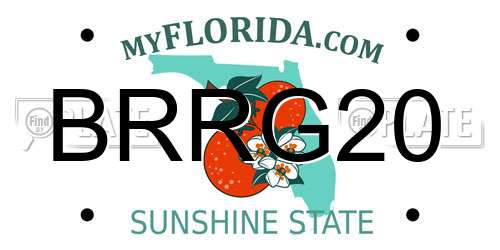 BRRG20 Florida License Plate