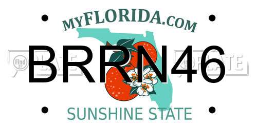 BRRN46 Florida License Plate