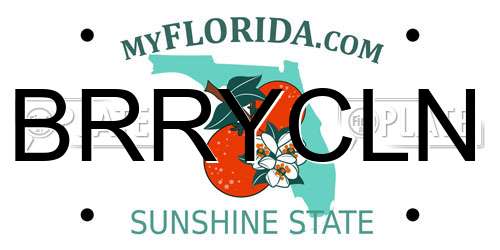 BRRYCLN Florida License Plate