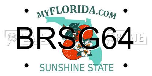 BRSG64 Florida License Plate
