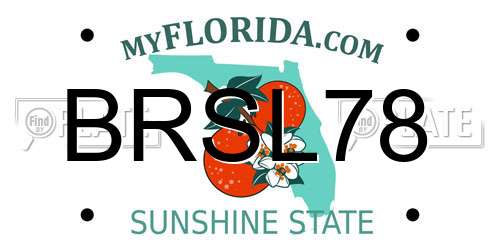 BRSL78 Florida License Plate