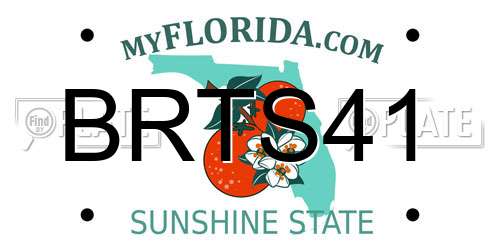 BRTS41 Florida License Plate