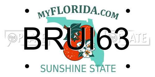 BRUI63 Florida License Plate