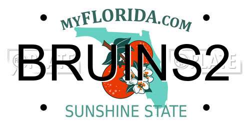 BRUINS2 Florida License Plate