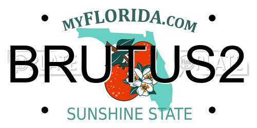 BRUTUS2 Florida License Plate