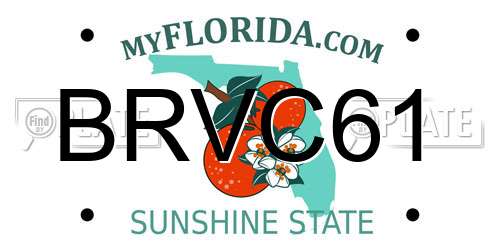 BRVC61 Florida License Plate