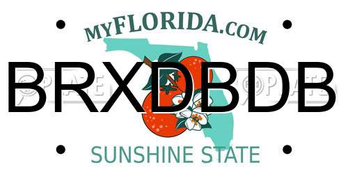BRXDBDB Florida License Plate