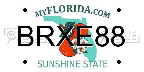 BRXE88 Florida License Plate