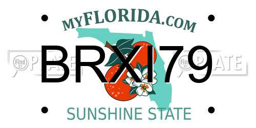 BRXI79 Florida License Plate