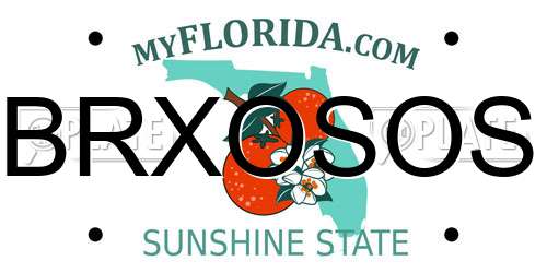 BRXOSOS Florida License Plate