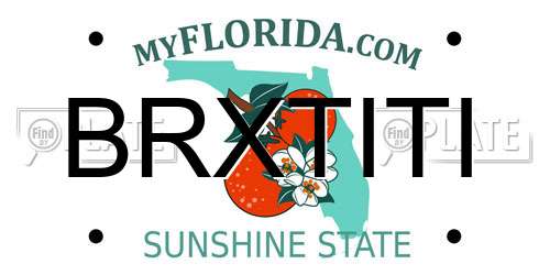 BRXTITI Florida License Plate