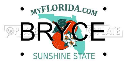 BRYCE Florida License Plate