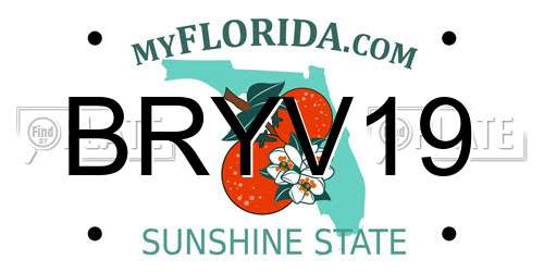 BRYV19 Florida License Plate