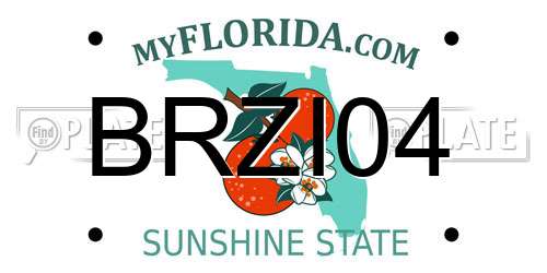 BRZI04 Florida License Plate