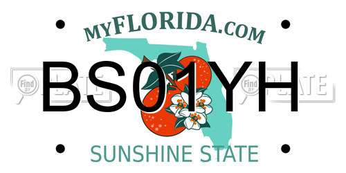 BS01YH Florida License Plate