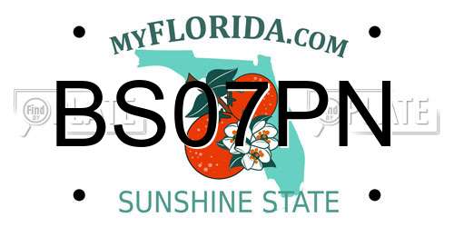 BS07PN Florida License Plate