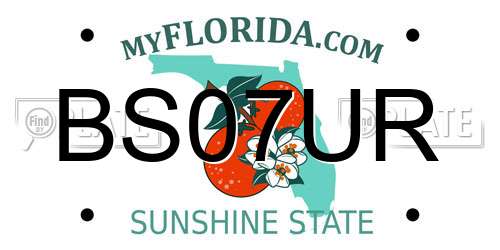 BS07UR Florida License Plate