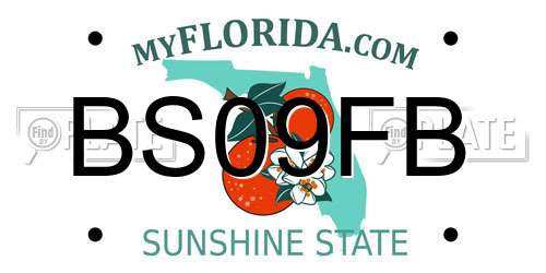 BS09FB Florida License Plate