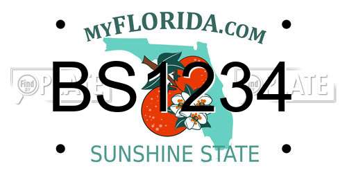 BS1234 Florida License Plate