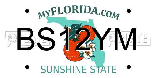 BS12YM Florida License Plate
