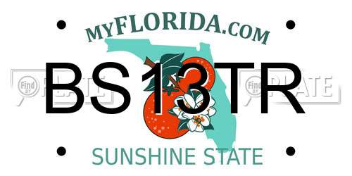 BS13TR Florida License Plate