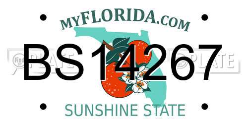BS14267 Florida License Plate