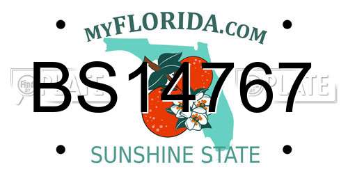 BS14767 Florida License Plate