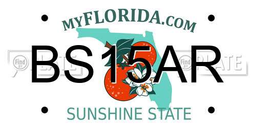 BS15AR Florida License Plate