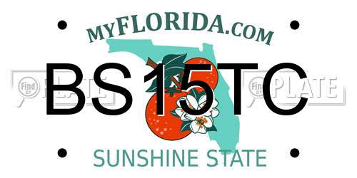 BS15TC Florida License Plate