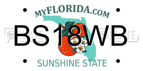BS18WB Florida License Plate