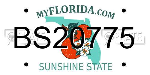 BS20775 Florida License Plate