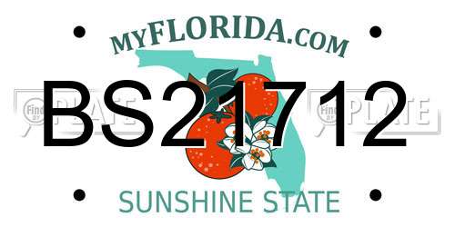 BS21712 Florida License Plate