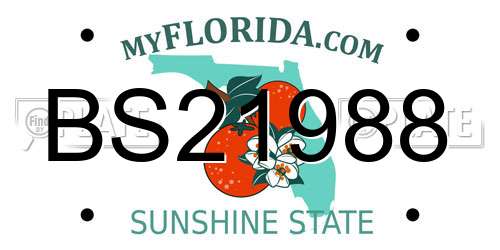 BS21988 Florida License Plate