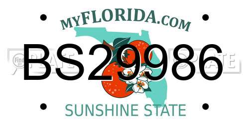 BS29986 Florida License Plate